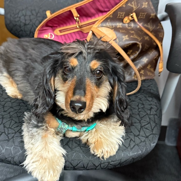 Meet your Posher, A - Picture 1 of 1